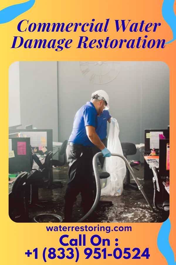 Commercial Water Damage Restoration in Roseau, MN