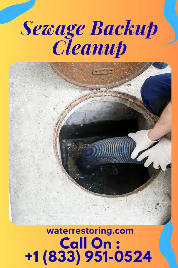 Sewage Backup Cleanup in Roseau, MN